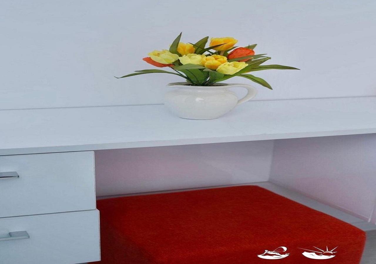 Apartel Joy Năvodari Extérieur photo